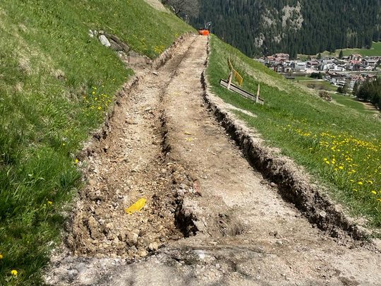 Laurs de ressanament pro le tru dl Gran Col Laurs de ressanament pro le tru dl Gran Col