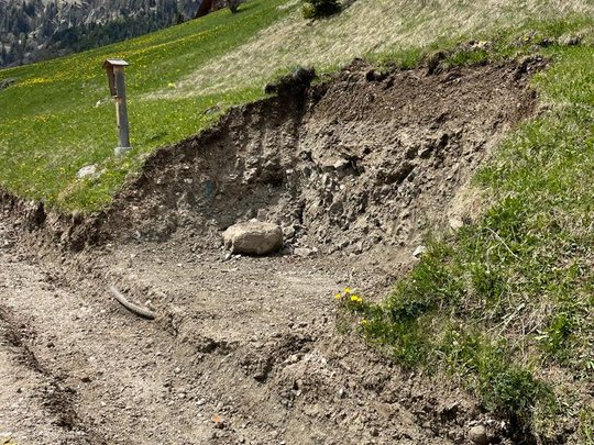 Laurs de ressanament pro le tru dl Gran Col Laurs de ressanament pro le tru dl Gran Col